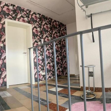 Erica Ferienwohnung Auf Dem Traumpfad Ettringen  외부 사진